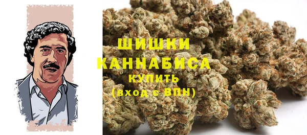 прущие крисы Балахна